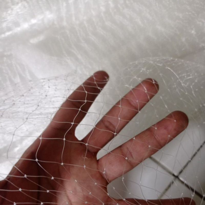 jaring buah klengkeng jaring pohon klengkeng lubang 1 jari