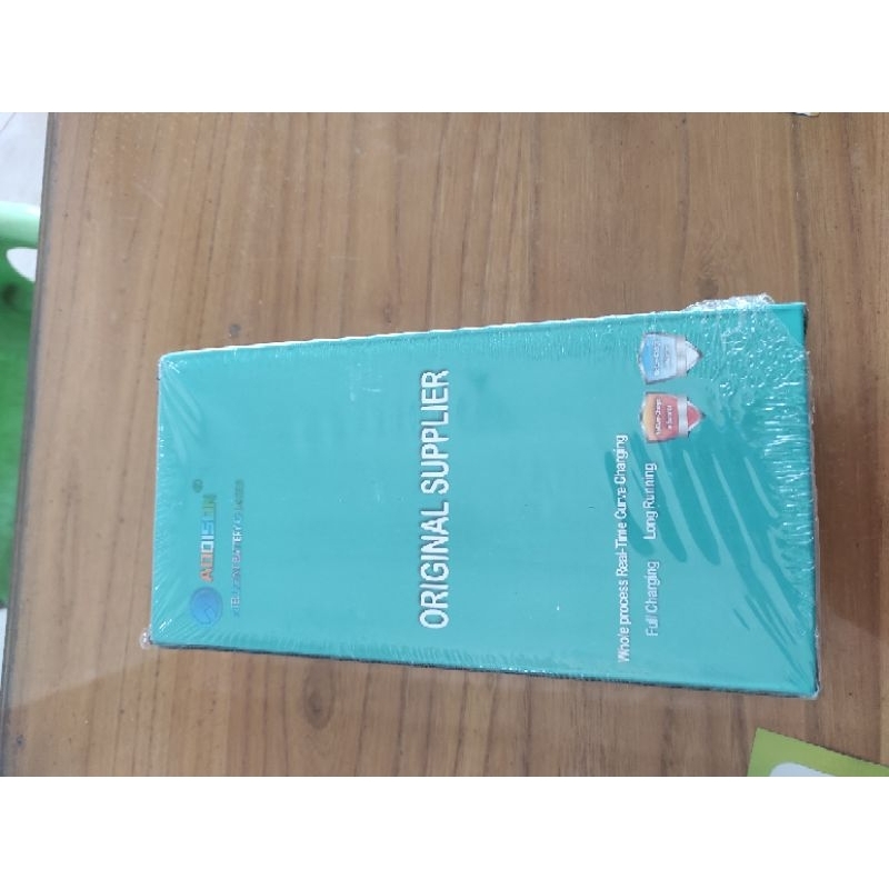 charger sepeda listrik 48 volt 12Ah