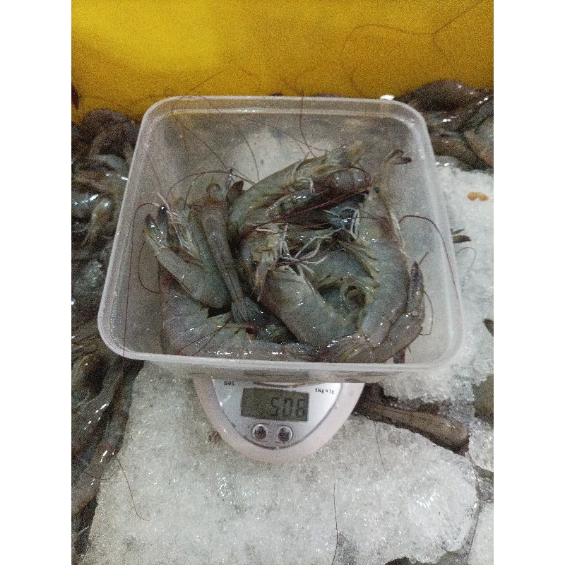 

udang vaname size 40\50 fresh 500grm