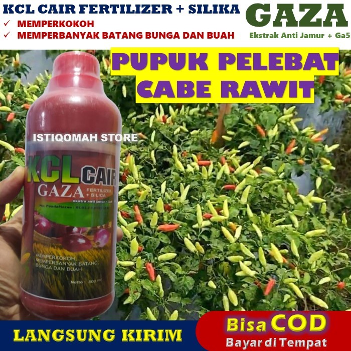 Pupuk Cabe Rawit Agar Berbuah Lebat KCL GAZA 500ML Pupuk Untuk Cabe Rawit Agar Cepat Berbuah Super L