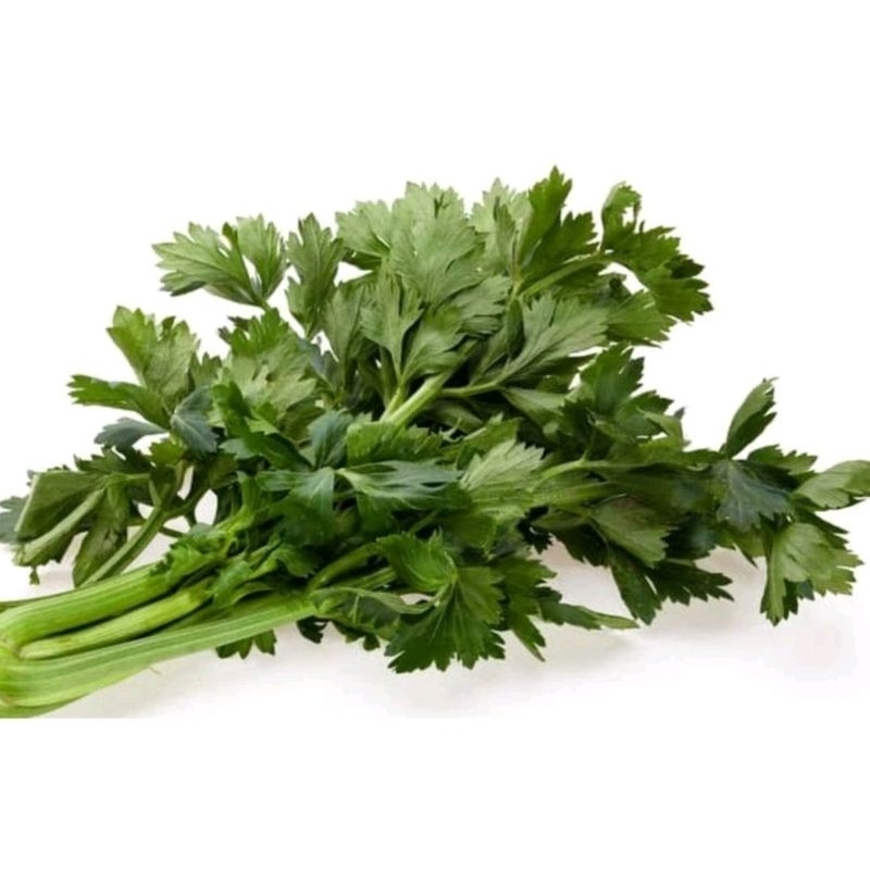 

Daun seledri segar 500g