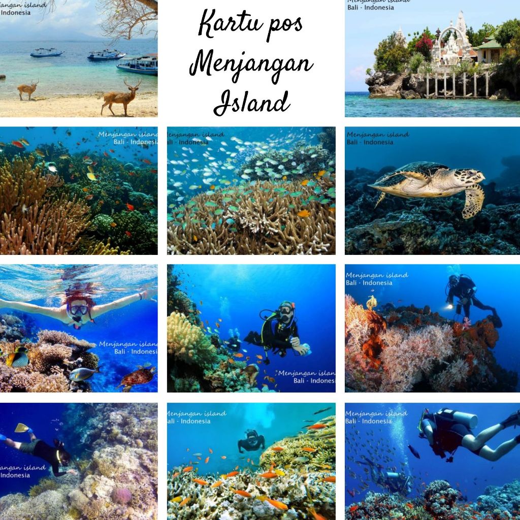 MC- Kartu pos kartupos Menjangan Island Bali Postcard