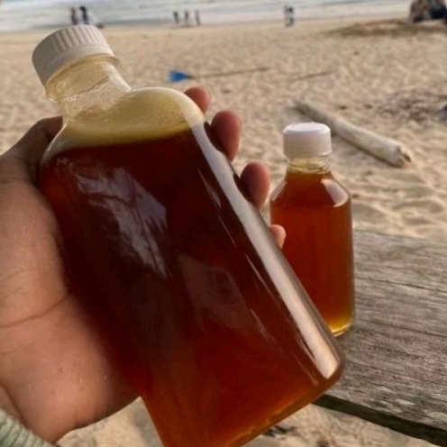 

Madu Hutan Liar Lebah Gong (Apis Dorsata) Kemasan 480 gr