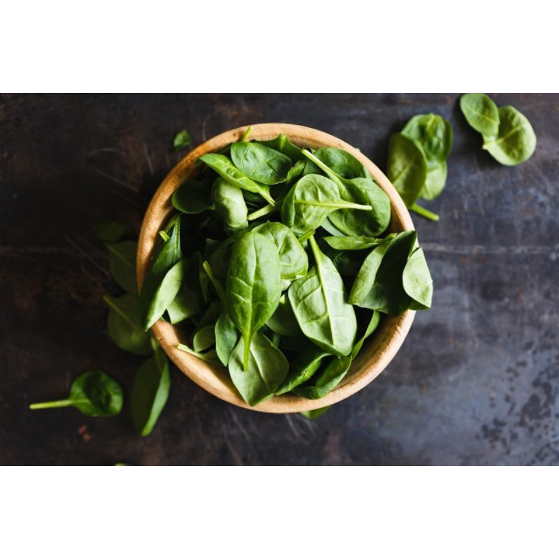 

Basil organik Per pack | Tanya stok dulu yaa | greengarden | Hammysnotes