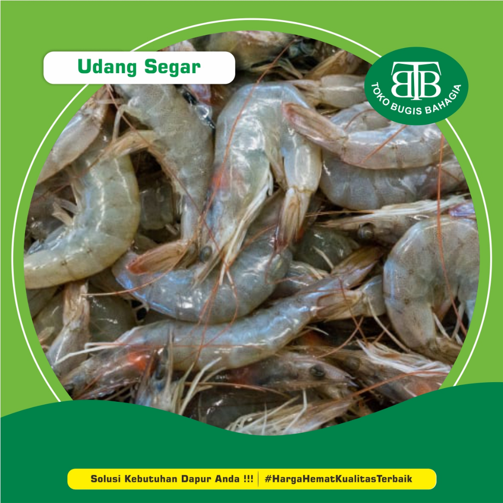 

Udang Empang Segar, Murah Makasar, Pasar Terong Makassar