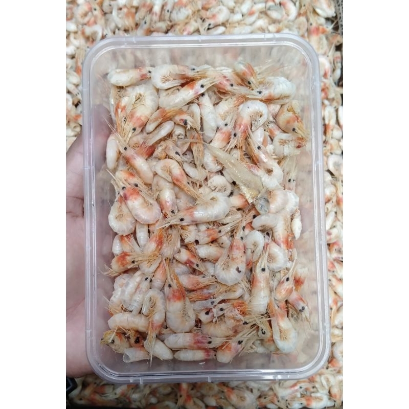 

Ikan Udang laut asin/kecil