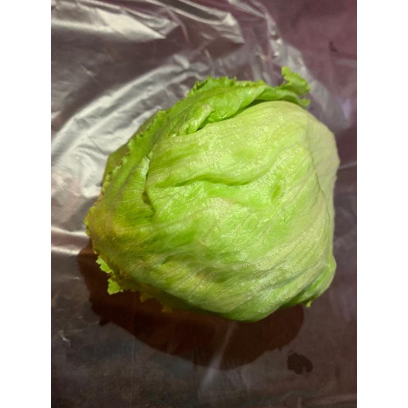 

lettuce 500 gram Rp.25.000
