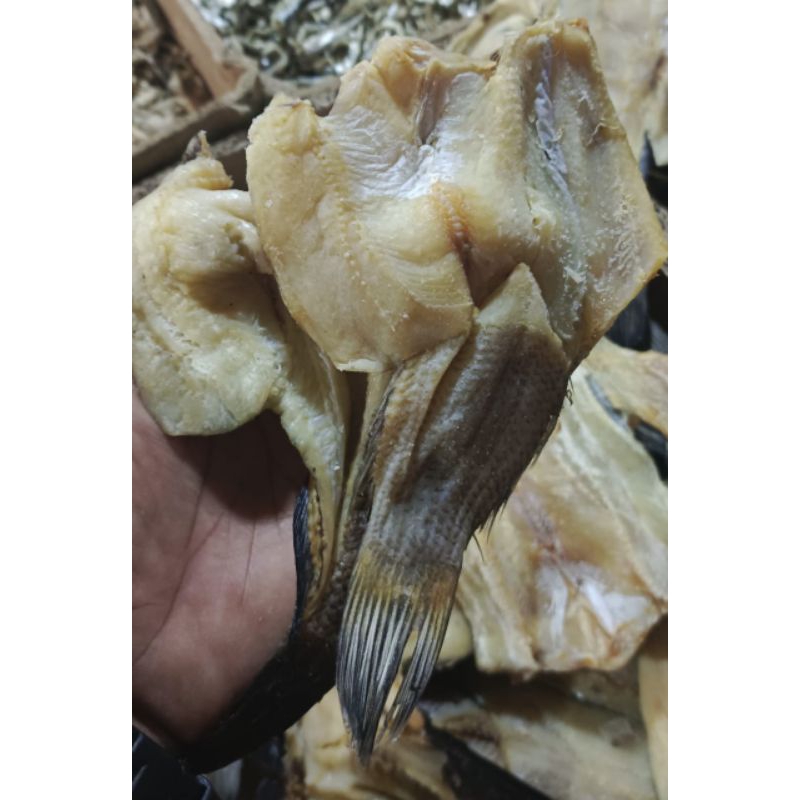 

ikan asin gabus premium 500gram