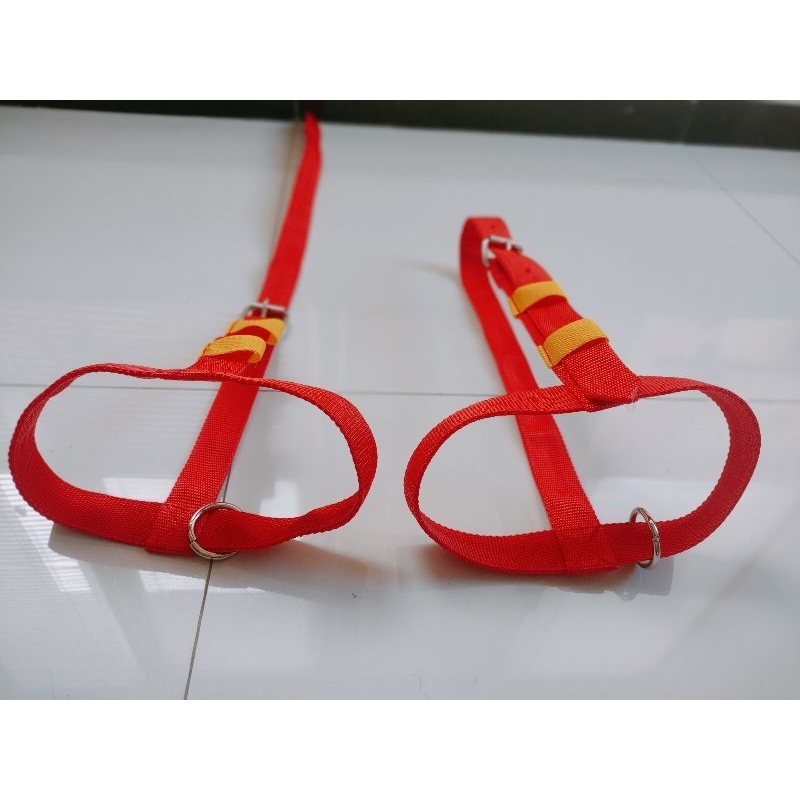 Brangus Head Halter Sapi anakan / pedet