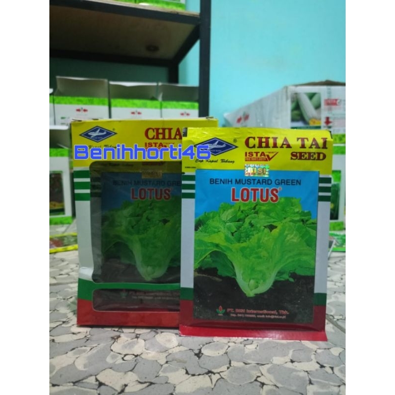Benih sawi Pahit Lotus isi 50 gram