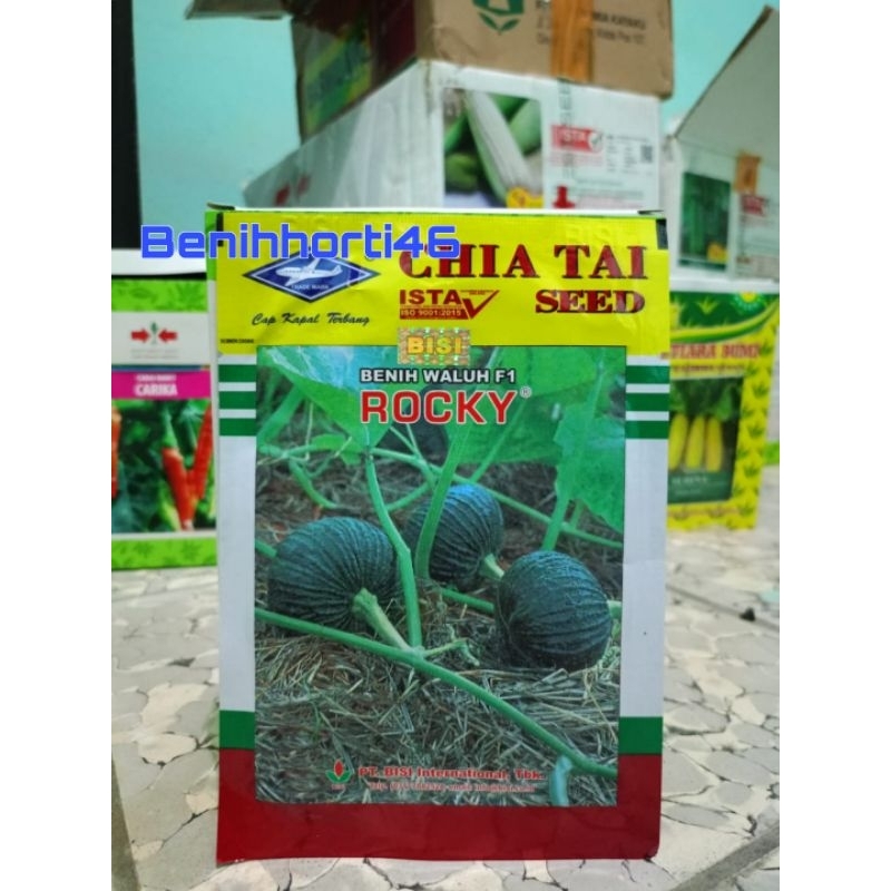 Benih Labu Kuning Hibrida Rocky isi 5 gram