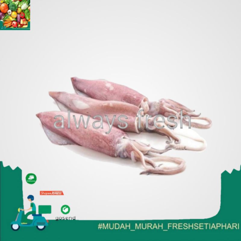 

cumi cumi - always fresh