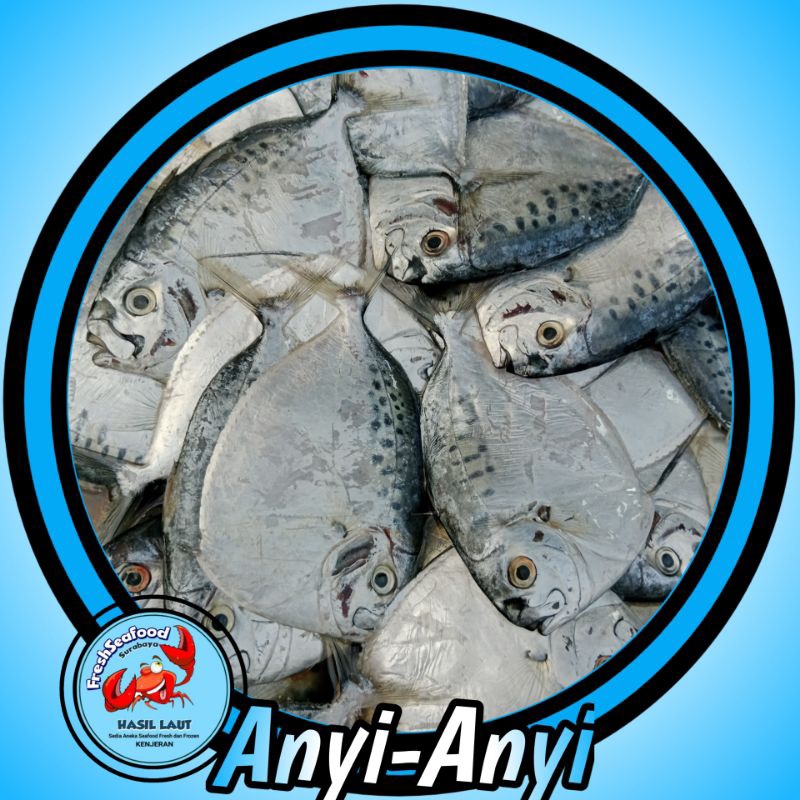 

IKAN ANYI ANYI SEGAR 1kg