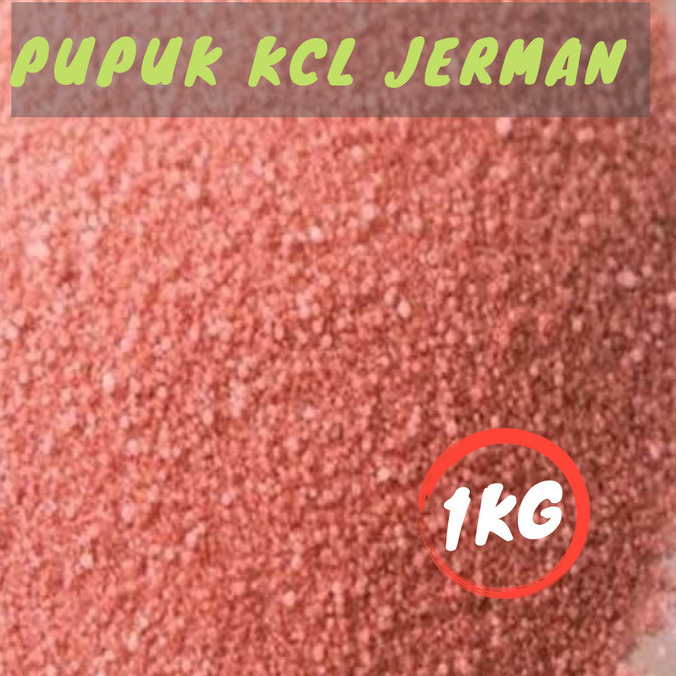 Pupuk KCL (Kalium Clorida) Super Jerman 1KG