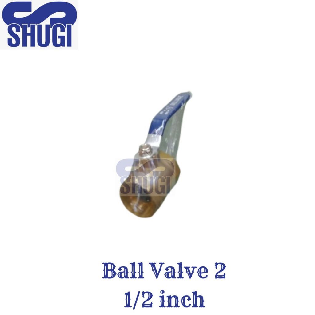 Ball Valve 2 1/2 inch