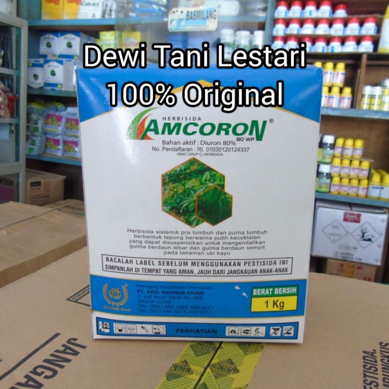 Amcoron 80 WP (1 Kg) | Pembeku Biji Rumput sebelum/setelah bajak