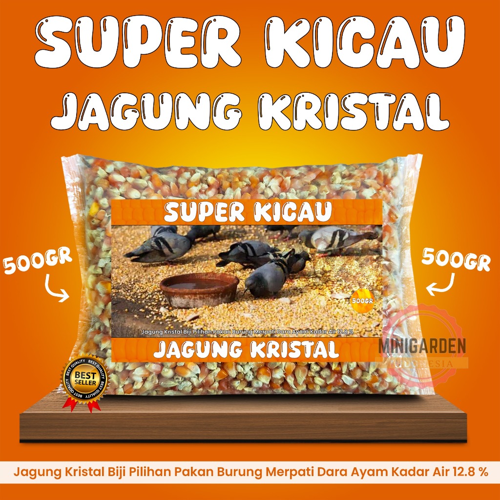 JAGUNG KRISTAL SUPER KICAU 500 GRAM pakan burung dara merpati ayam hamster jagung pipil pipih unyil