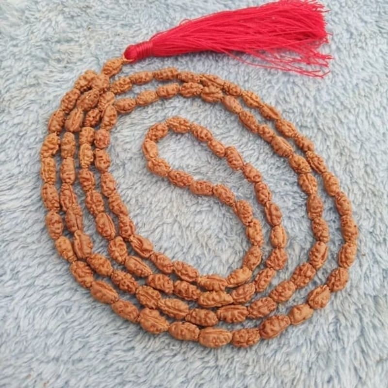 RUDRAKSHA MUKHI 2 (108 +1 PCS)