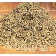 

Jintan India Premium 50 gr / Cumin Seeds Bold Jeera / Jinten India 50 gr
