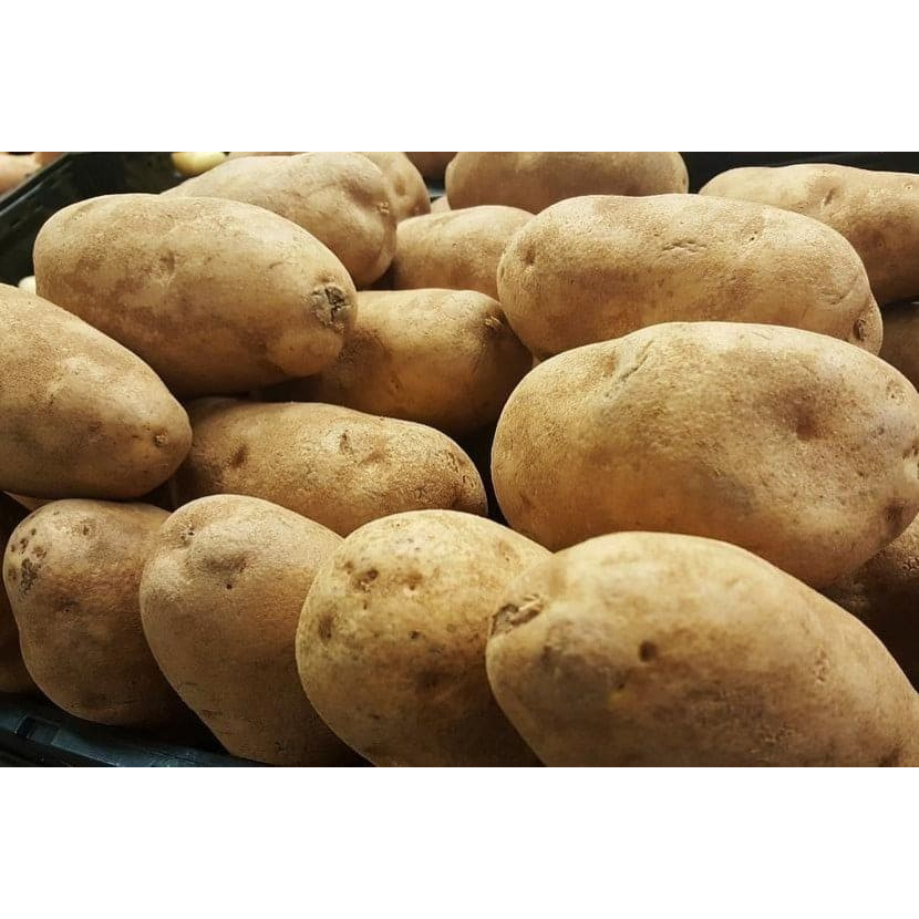 

Promo Kentang Dieng sedang besar campur Fresh Segar 1 Kg