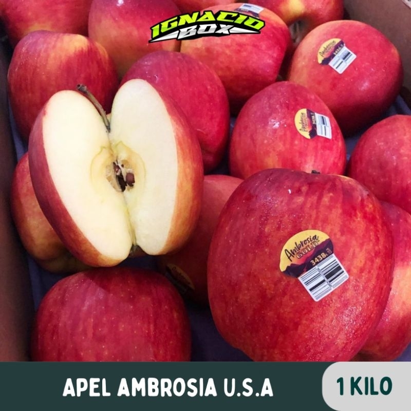 

Apel Ambrosia U.S.A 1Kg FRESH IMPORT IgnacioBox