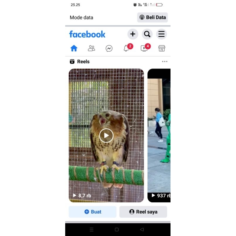 jasa subscribe permanen