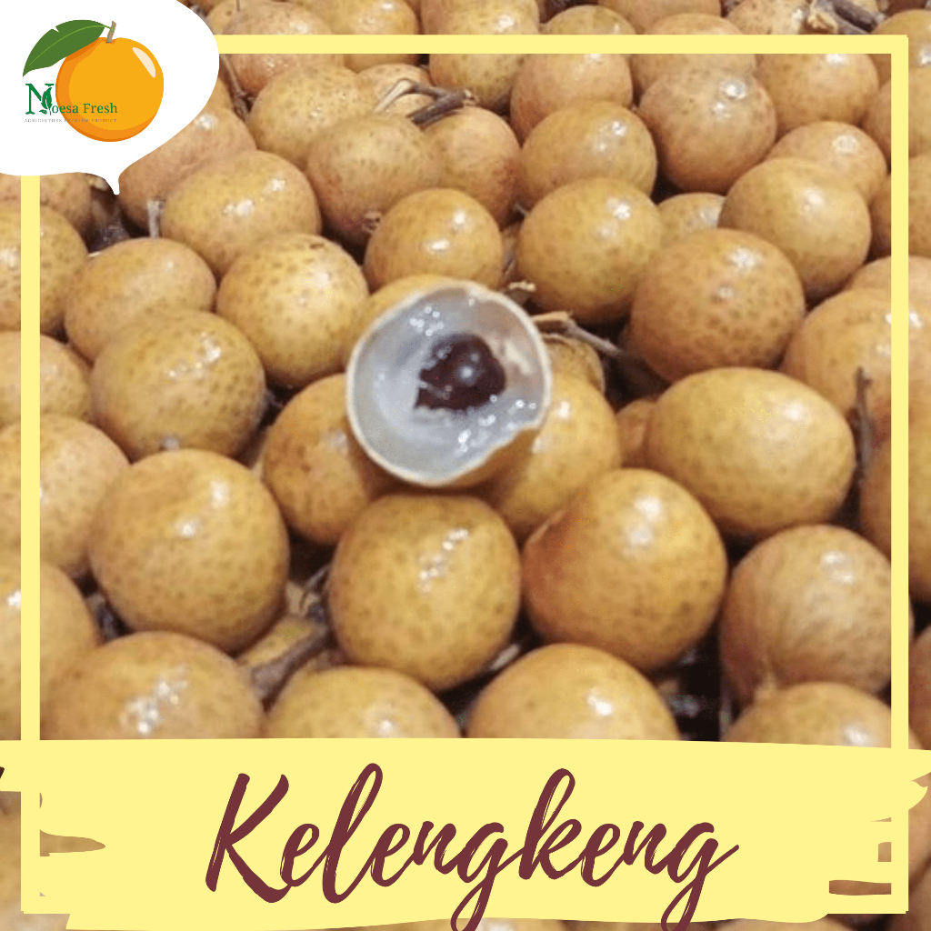 

Kelengkeng Bangkok Fresh 1kg