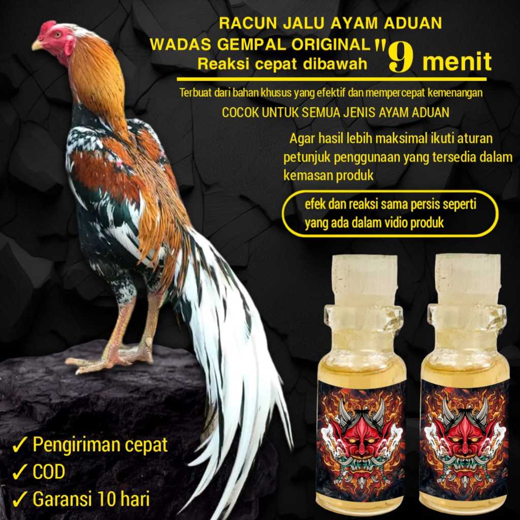 doping ayam bangkok tarung pama iq racun jalu jago aduan