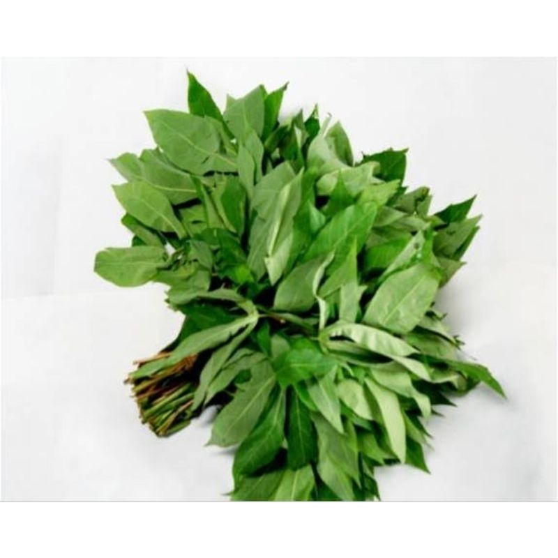 

Daun Singkong Per 1 ikat