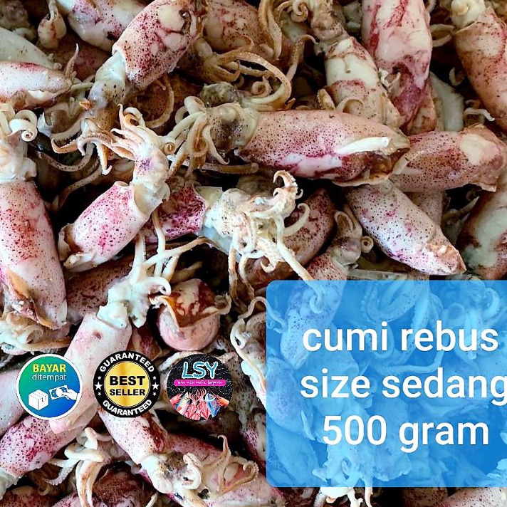 

55 COD ikan asin Cumi rebus sotong rebus size sedang 5gr