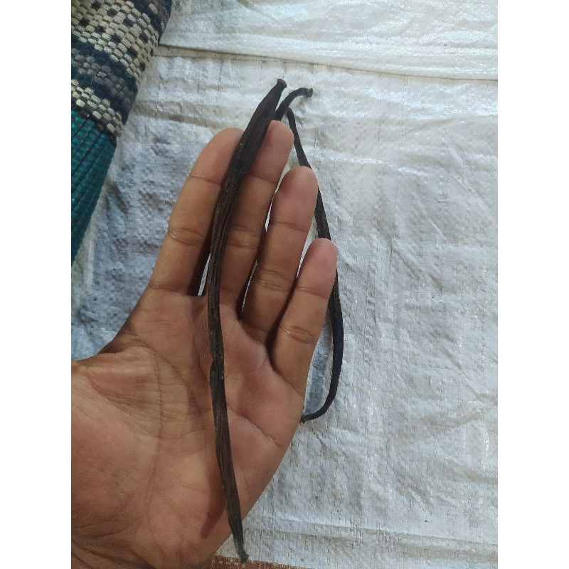 

vanili/vanila GRADE A termurah kering 15 gr