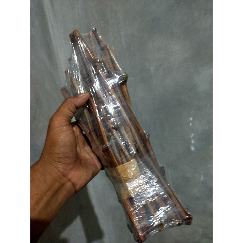 paket 25 cutting anggur import