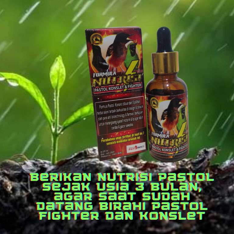 Terpercaya Formula Nutrisi Pastol Konslet  Burung Khusus Anakan Trotol dan Pastol Murai Batu