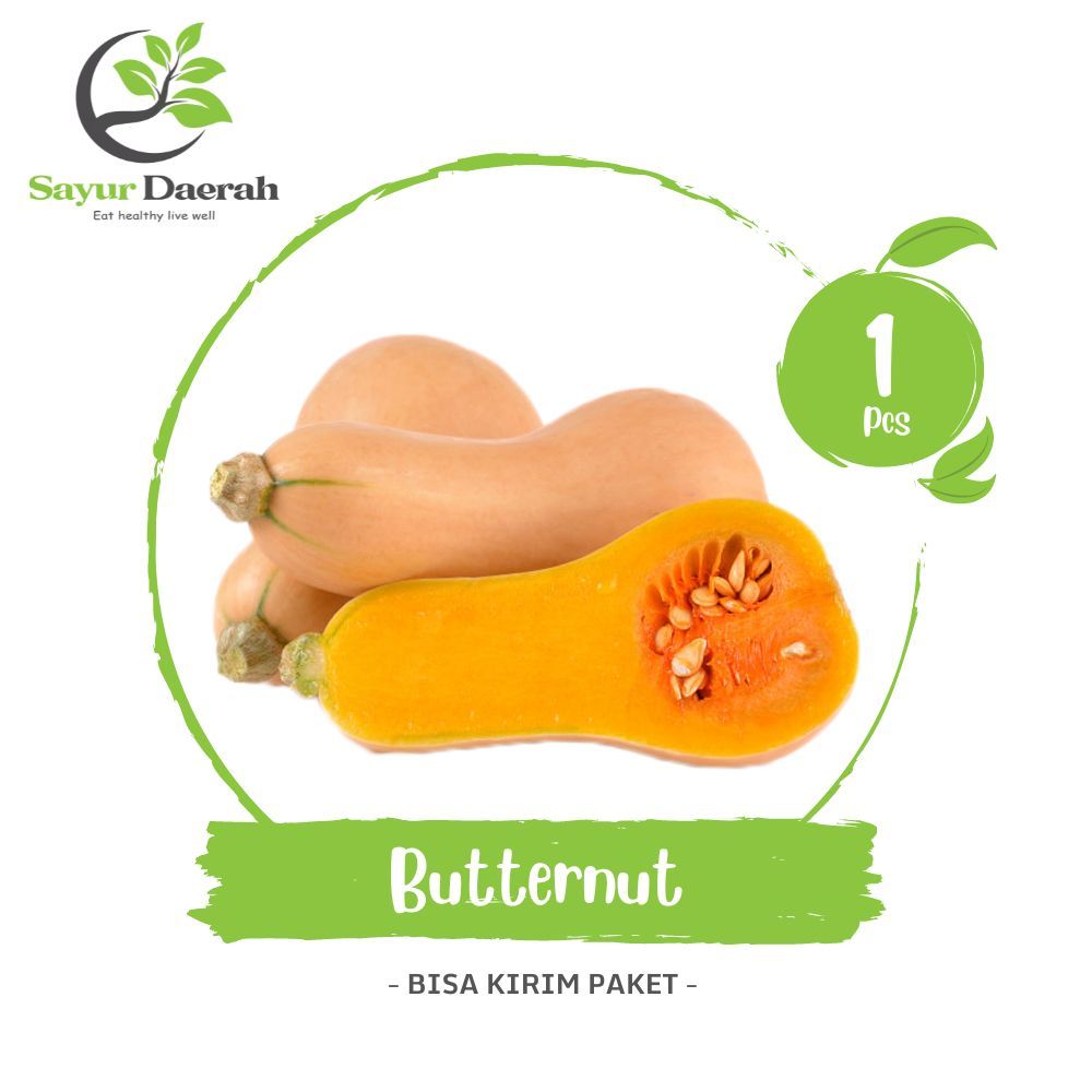 

Labu Kabocha Madu Butternut 900 - 1300 Gr | Sayur Daerah