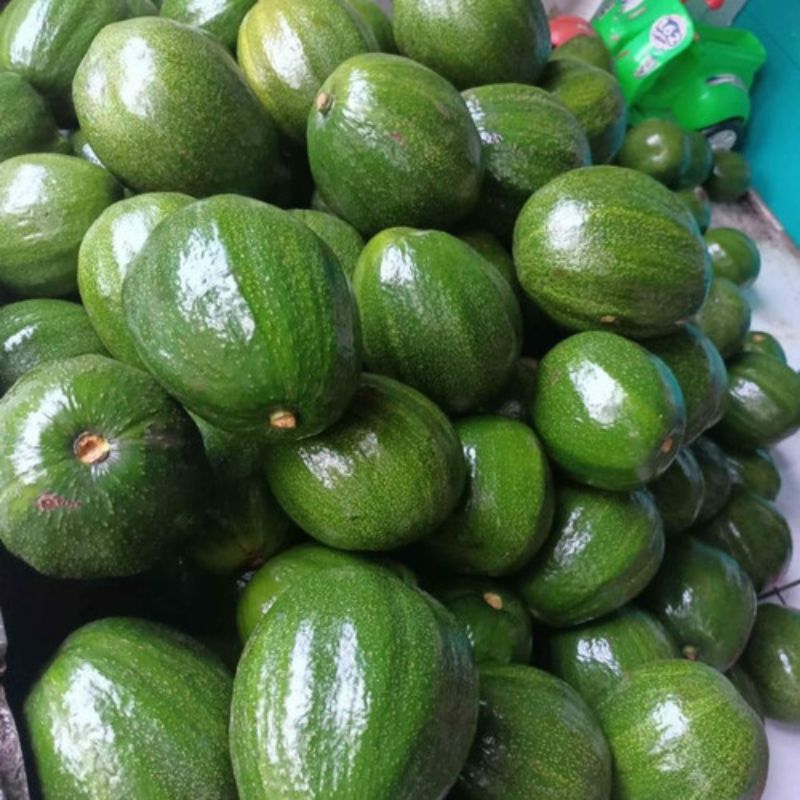 

buah alpokat kendil jumbo/markus 1kg