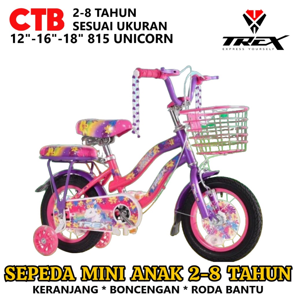 Sepeda Anak Trex Unicorn CTB 16 Inci Steel 4-7 Tahun OPC Crank Step-Through Frame Kids City Bike