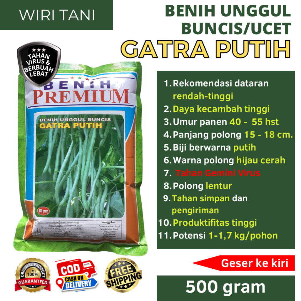 (COD) Bibit Benih Unggul Buncis GATRA PUTIH kemasan 500 Gram Benih Premium | Biji Putih, Tahan Gemin