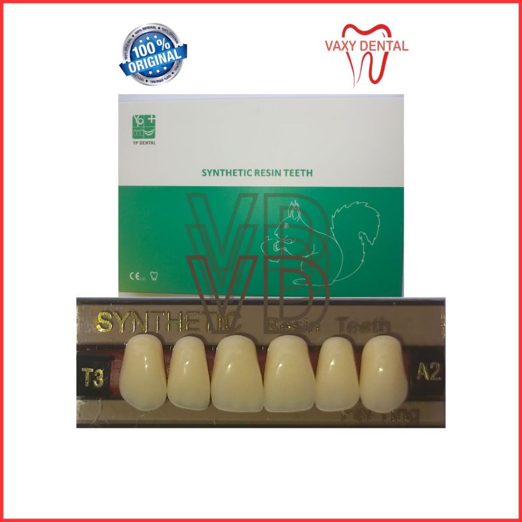 Gigi Synthetic YP DENTAL Depan Atas 1 Papan isi 6 Butir Gigi Palsu Anterior Upper Synthetic Resin Te
