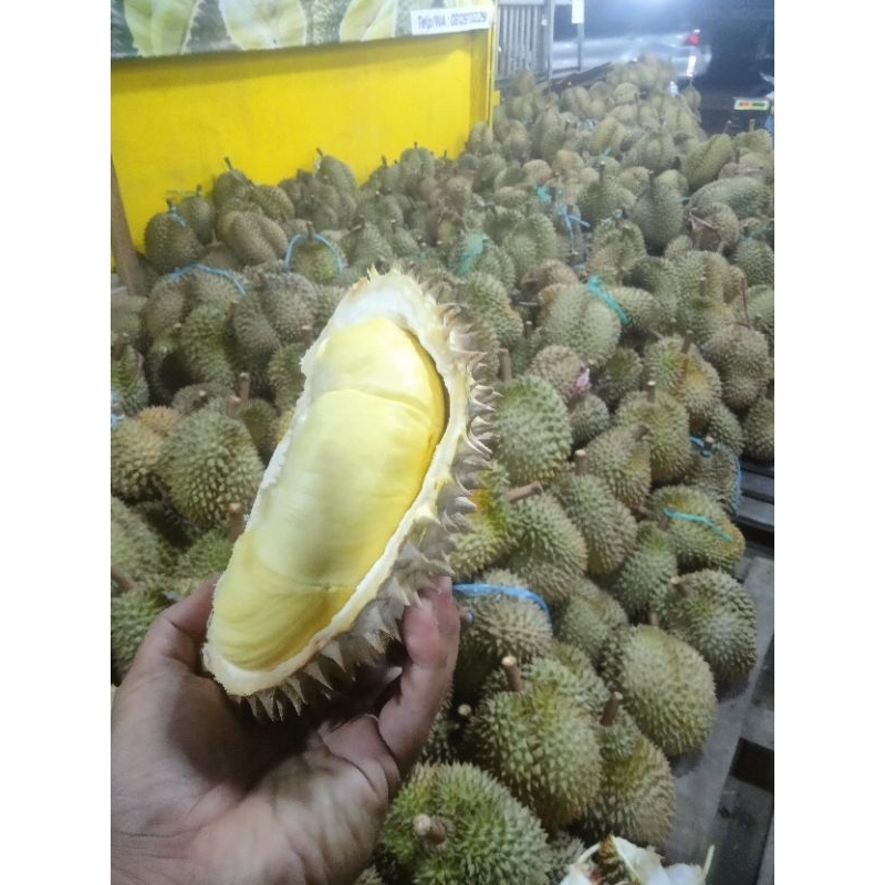 

durian montong palu parigi