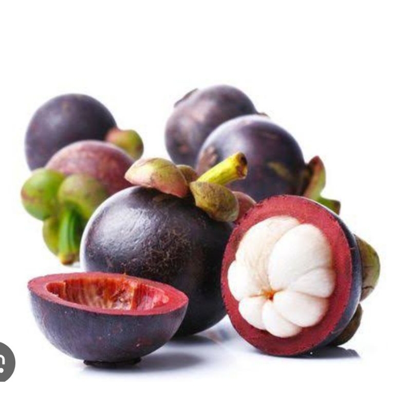 

manggis segar 1kg