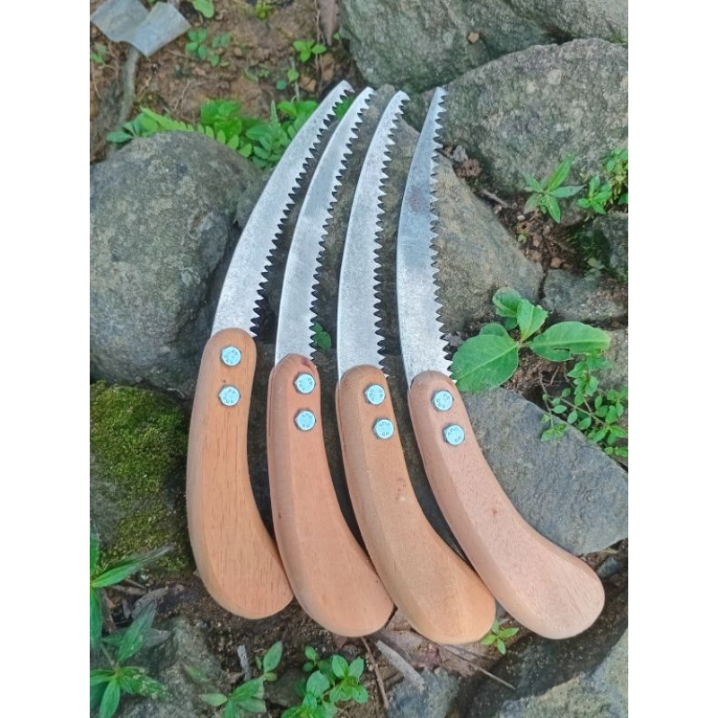 gergaji kecil dahan bonsai gergaji lengkung pruning bonsai siap pakai