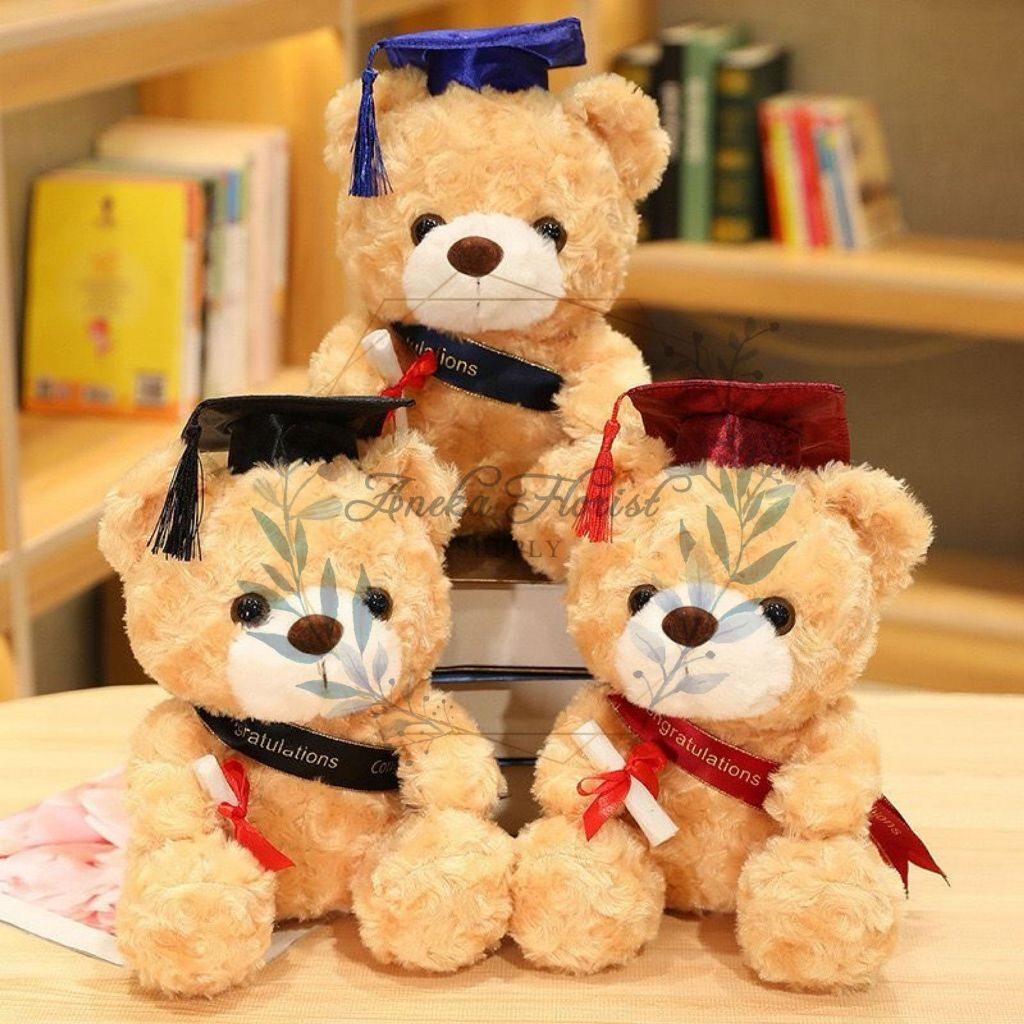 

ANEKAFLORIST - BONEKA WISUDA - BONEKA BERUANG WISUDA - BONEKA WISUDA BROWN CREAM - AF148