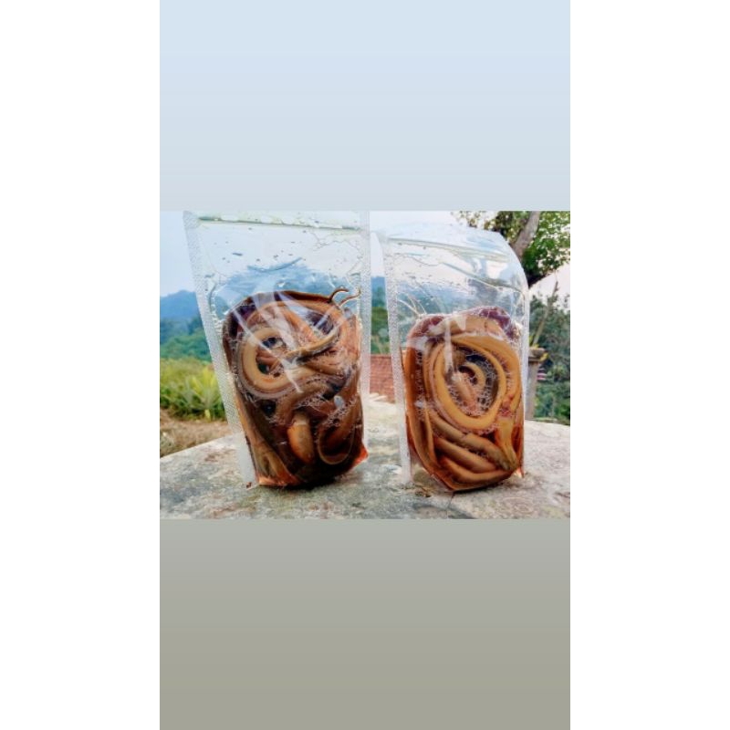 

daging Belut Fress & Segar