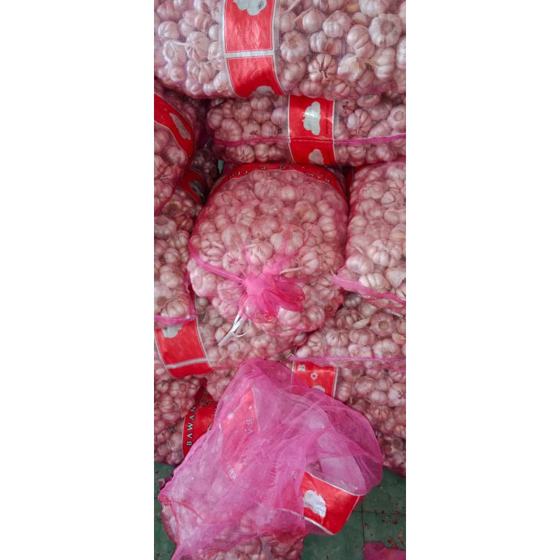 

bawang putih sinco 1 kg