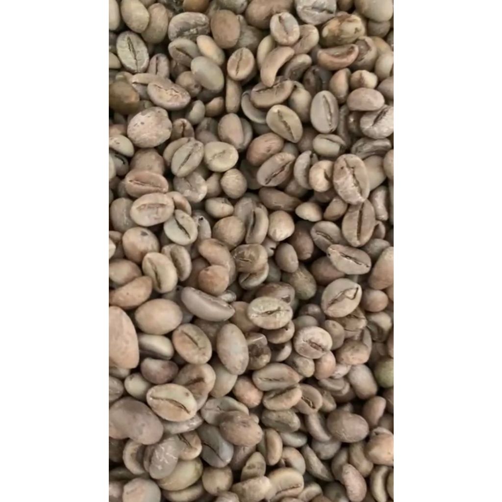 Green Bean Robusta - Biji Kopi Robusta Gunung Tilu, Jawa Barat grade 1 natural (biji kopi mentah) 1kg