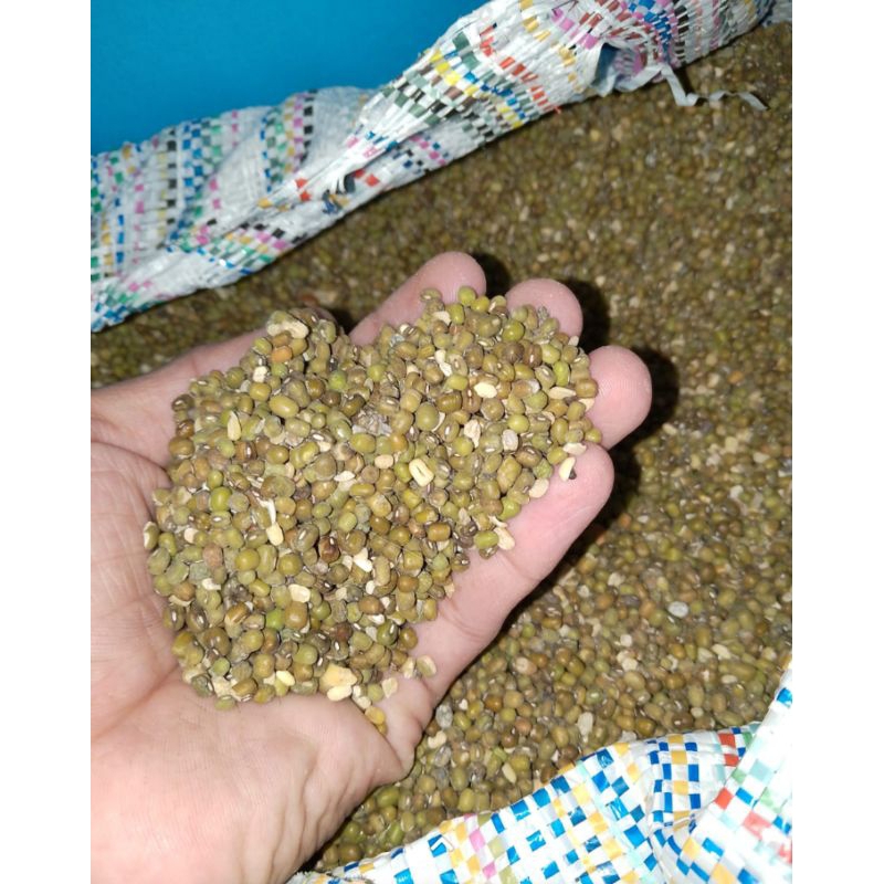 

kacang ijo apkir 1kg