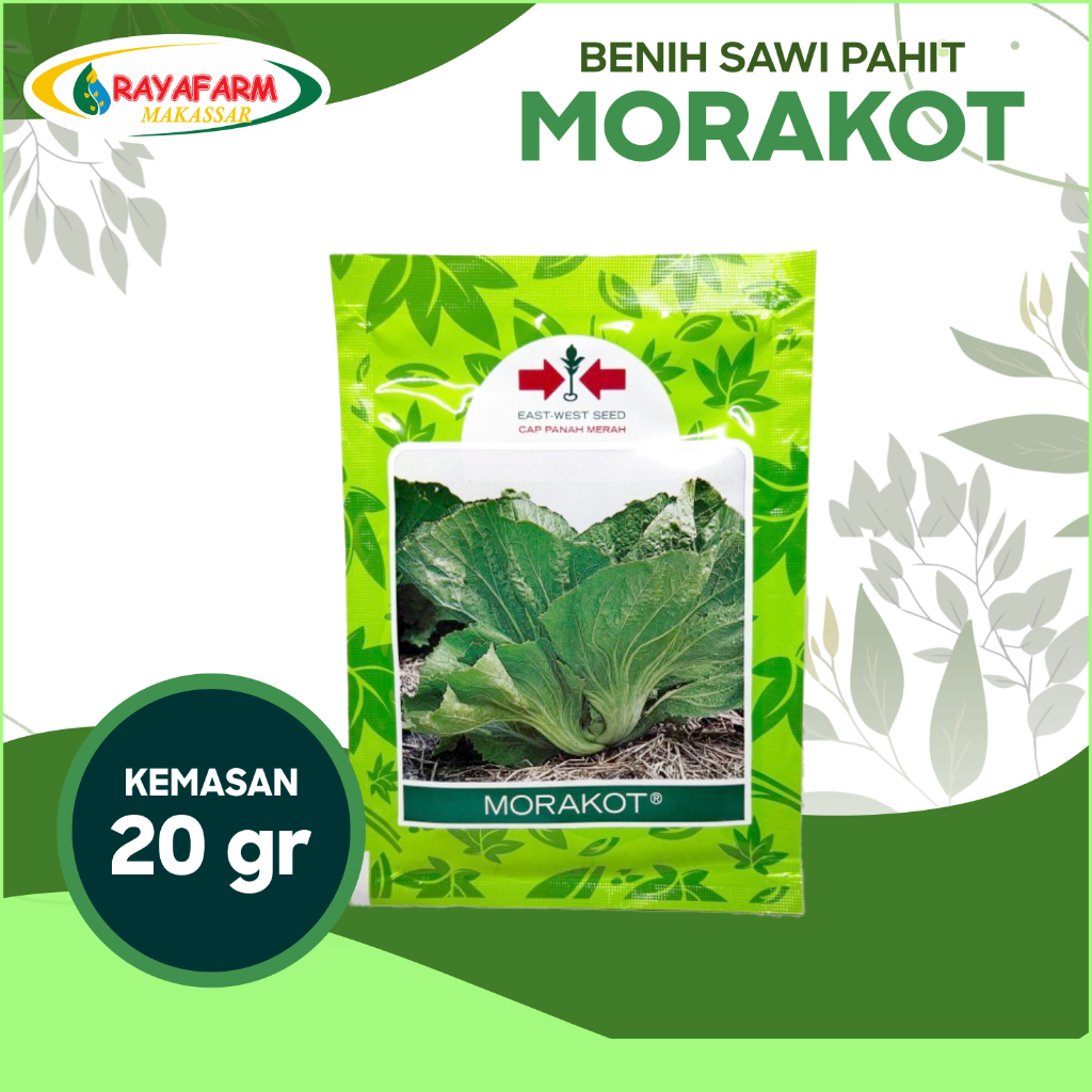 Benih Sawi Pahit Morakot