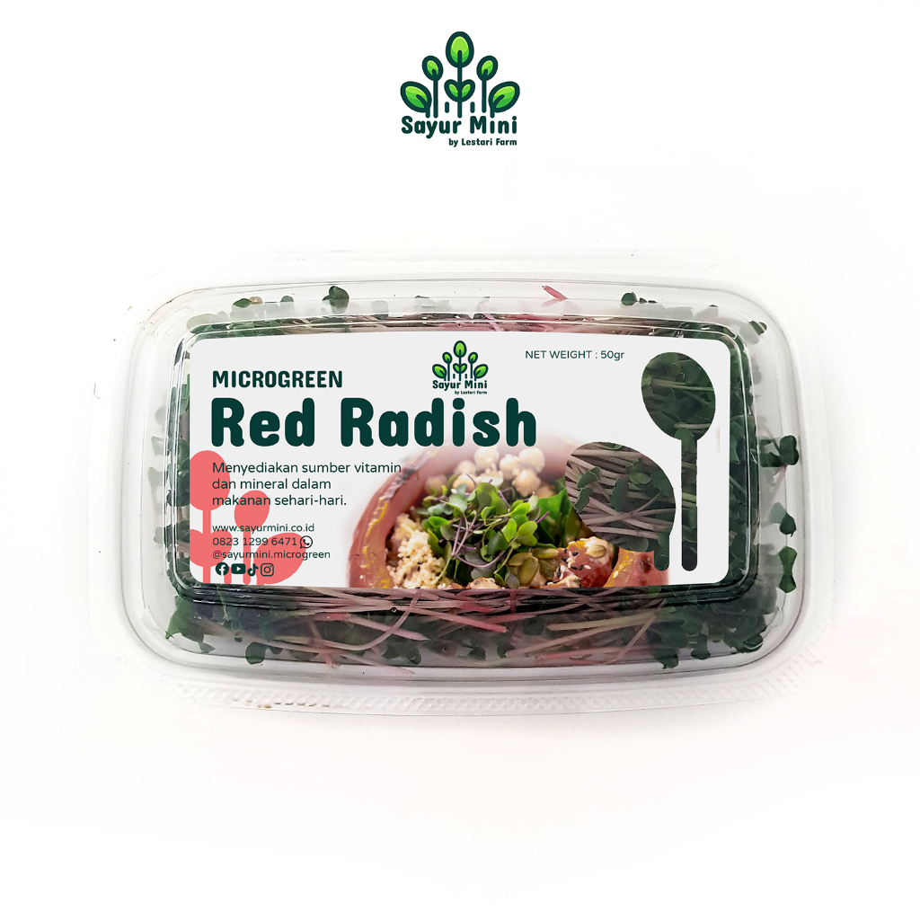 

SAYUR MINI Microgreen Red Radish 50gr - Salad Microgreen - Fresh Cut - Lobak Merah