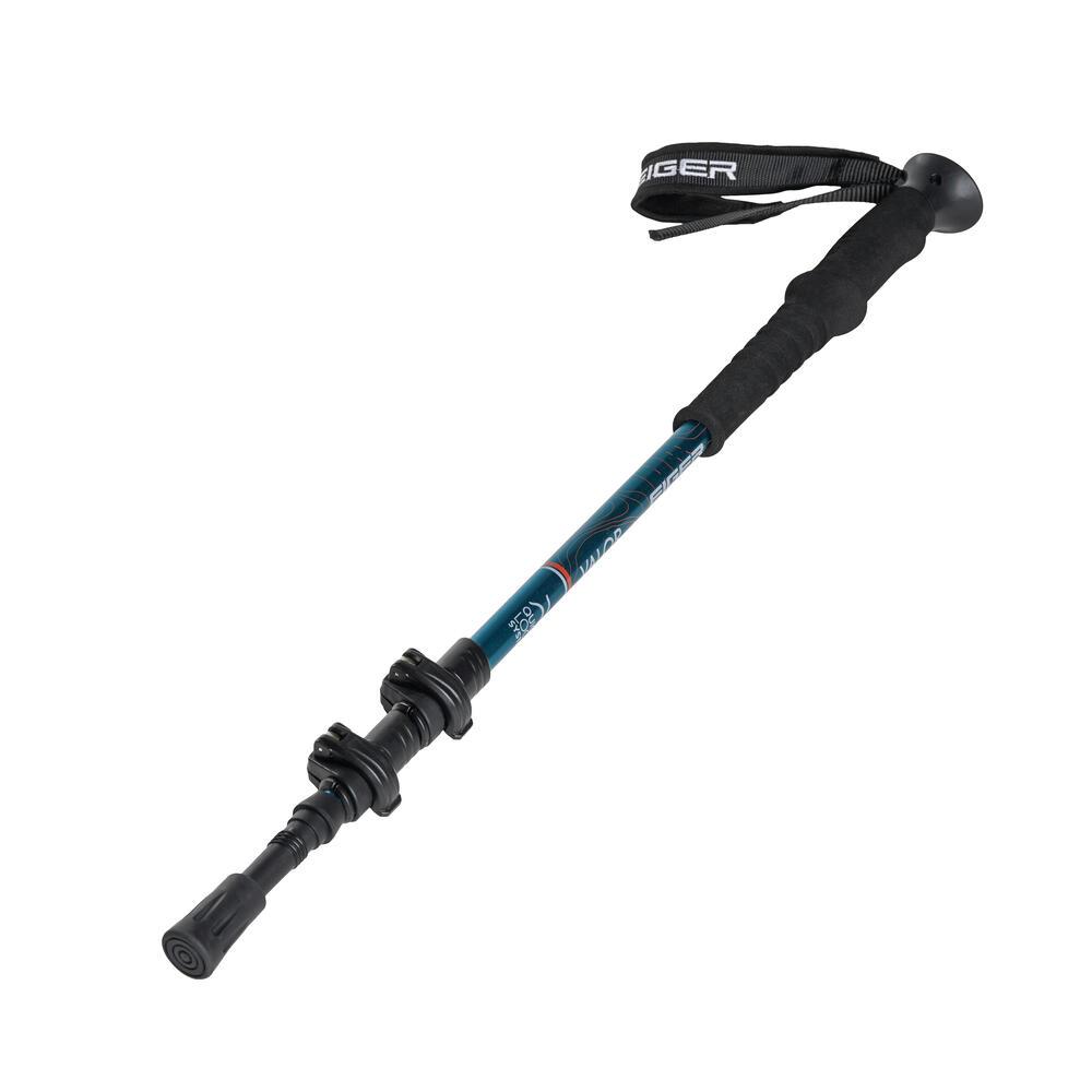 EIGER WS VALOR TREKKING POLE 1.0