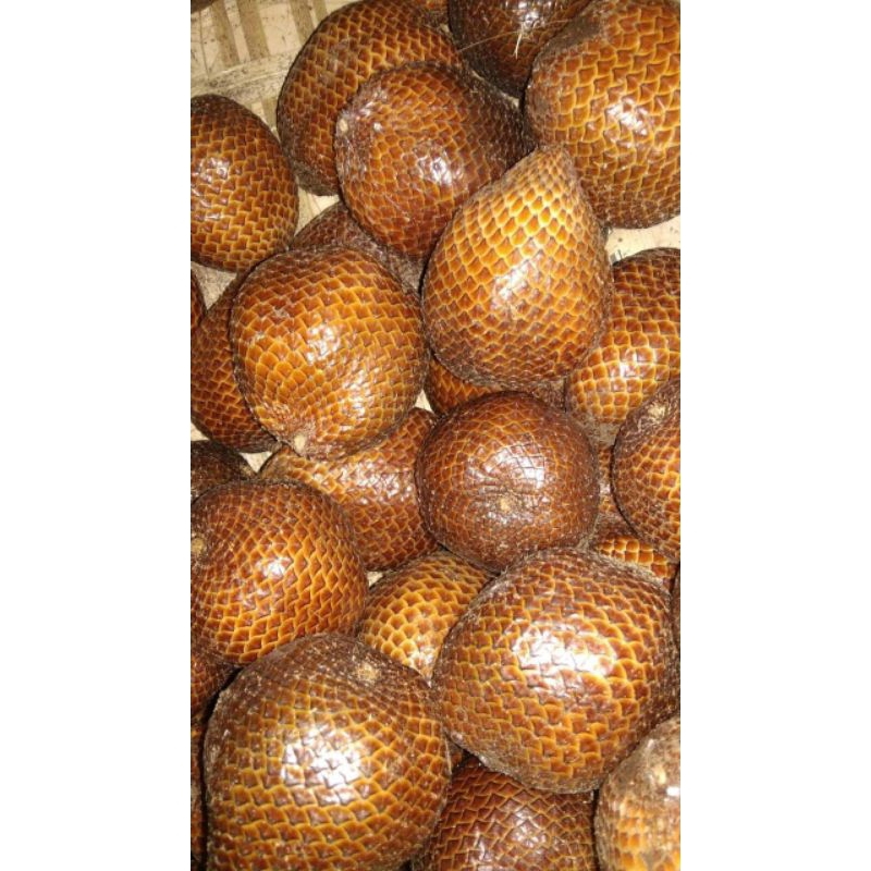 

Salak Madu asli 1kg